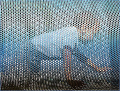 photo "Рlayground"