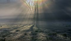 photo "***"