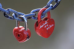 photo "In love forever"