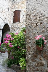 photo "a corner in the village"