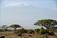 photo "About a little zebra and a big mountain"