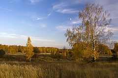 фото "Желтая осень"