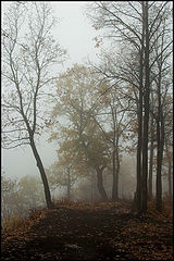 photo "***"