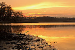 photo "***"