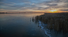 photo "***"