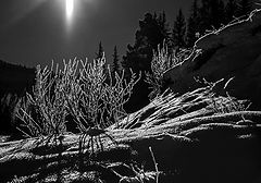 photo "***"