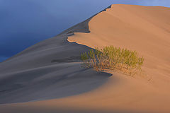photo "Brunneau Dunes 1"