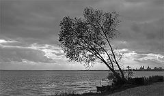 photo "***"