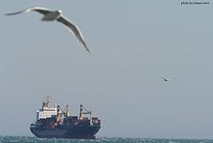 photo "on the sea"