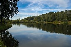 фото "Отражения"