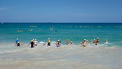 photo "Surfing School_2"
