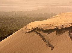 photo "sable"