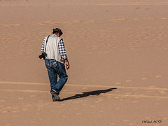 фото "Follow the shadow"