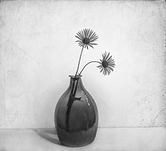 photo "***"