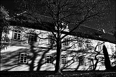 фото "Дерево и дом"