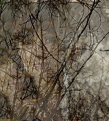 photo "***"