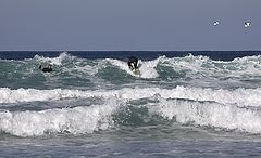 photo "winter fun"