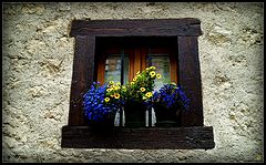 photo "Poetry flowers in window"