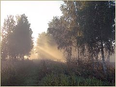 фото "Раннее утро августа"