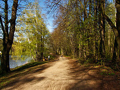 photo "Весенний лес"