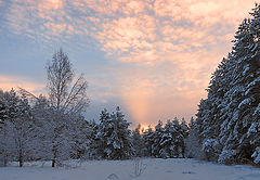 photo "***"