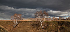 photo "***"