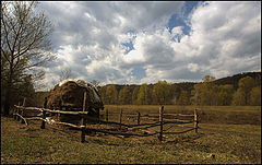 photo "***"
