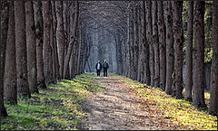 фото "Твикс"