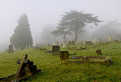 photo "Fog"