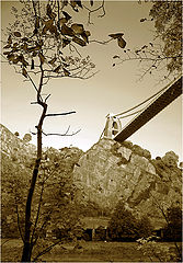 photo "***"