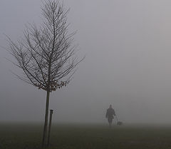photo "Fog"
