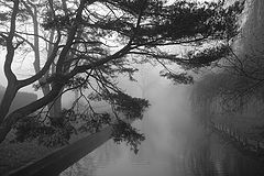 photo "Fog"