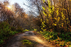 photo "***"