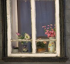 photo "***"