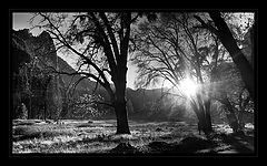 photo "***"