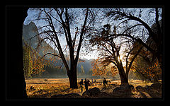 photo "***"