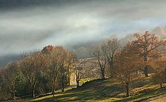 photo "automne"
