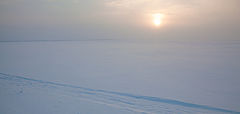 photo "***"