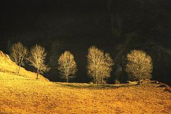 photo "ombre et lumière"