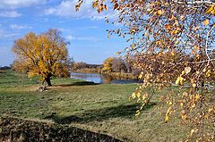 фото "Бабье лето"