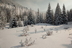 photo "***"