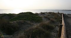 photo "beside the sea"