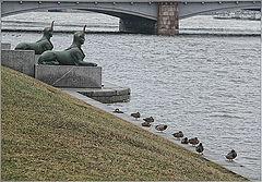 фото "Городские зарисовки... декабрь"