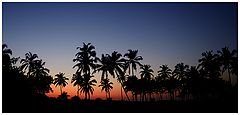 фото "Dreams of India .."