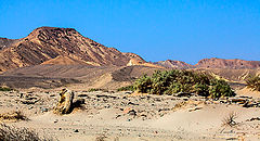фото "The Valley"