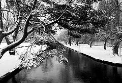 photo "***"