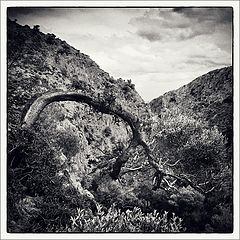 photo "Gouverneto Monastery. Akrotiri. Crete."