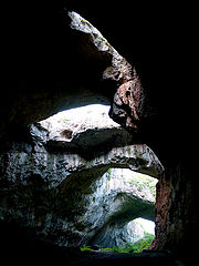 photo "***"