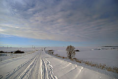 фото "Зимняя дорога"