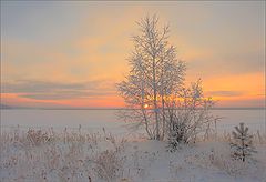 photo "***"